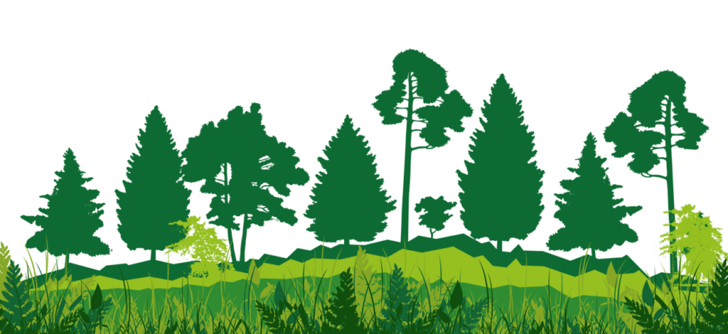 Servicios Forestales Okv